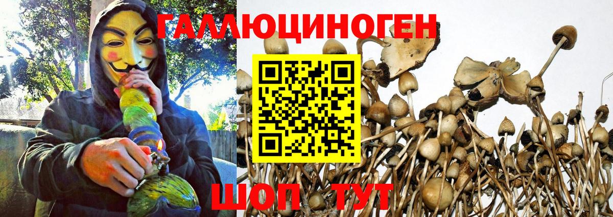 Галлюциногенные грибы ЛСД  Галлюциногенные грибы GOLDEN TEACHER  Вход с VPN  Ступино 