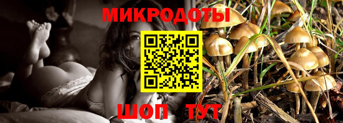 Псилоцибиновые грибы ЛСД Ступино